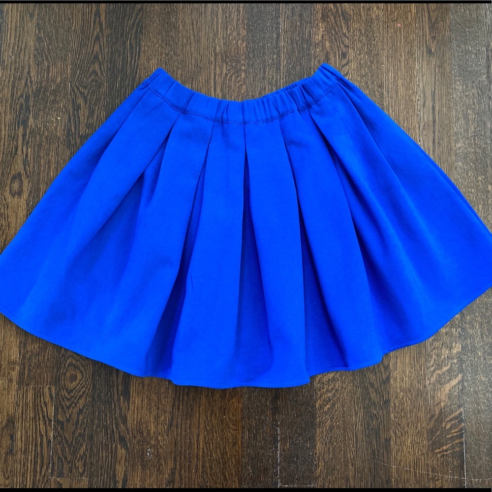 Blue Pleated Skirt 🦋